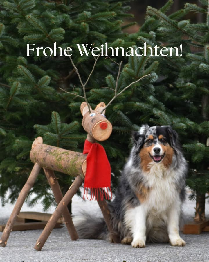 Weinhof Leitner